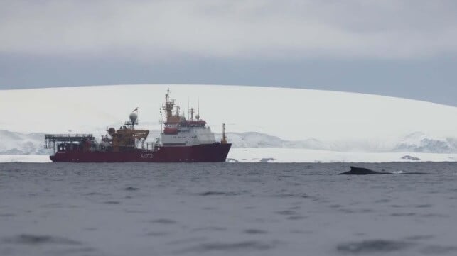 Royal Navy helps study the impact of tourism on Antarctica