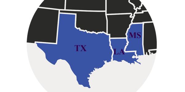 Bulk Sale Trade Dress Protection Under the Fifth Circuit