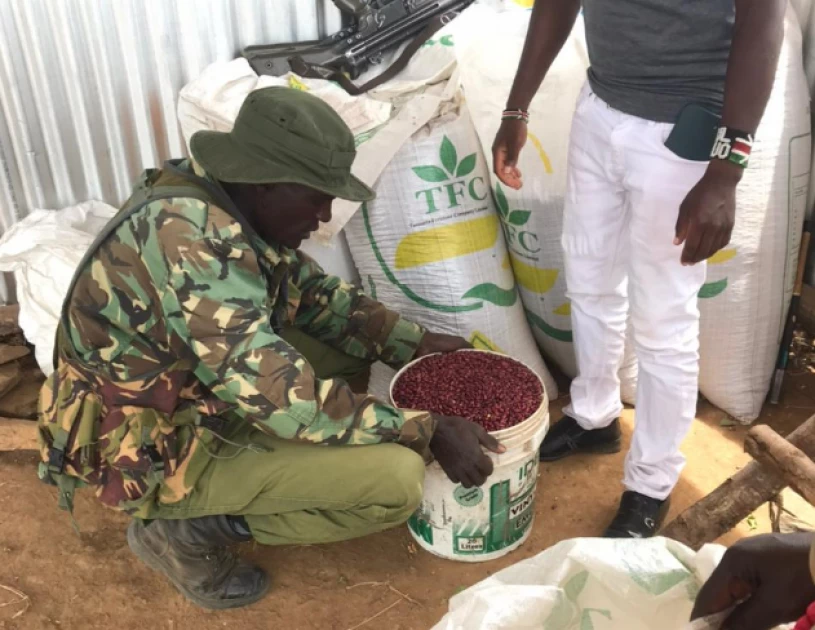 Kenyan companies set out to restore Laikipia County's lost glory